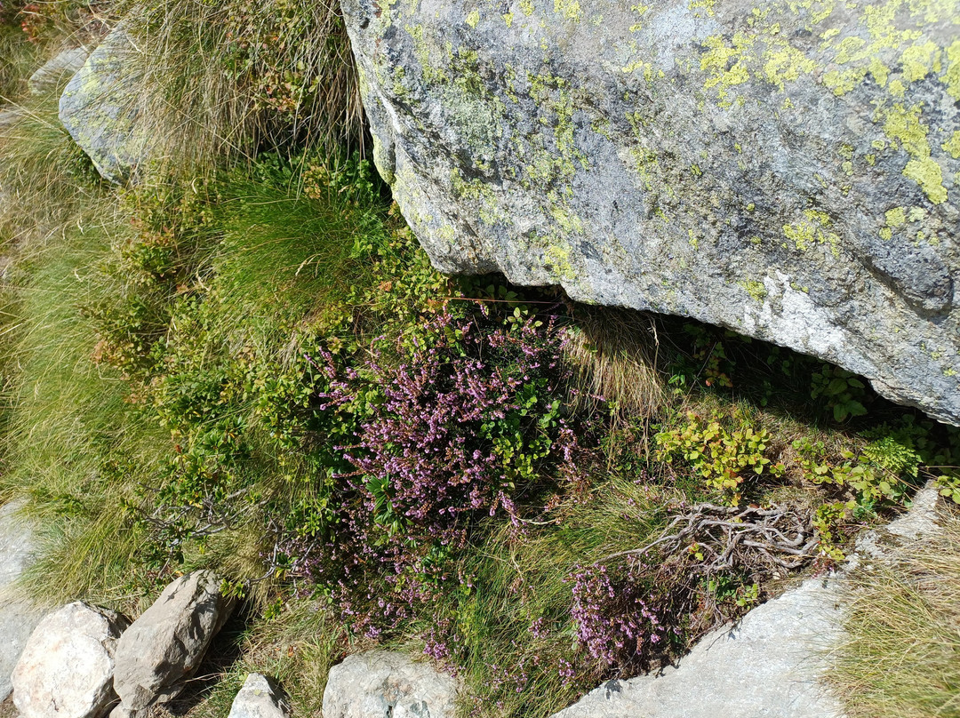 Rifugio Alfredo Rivetti-Andorno Micca必去景点