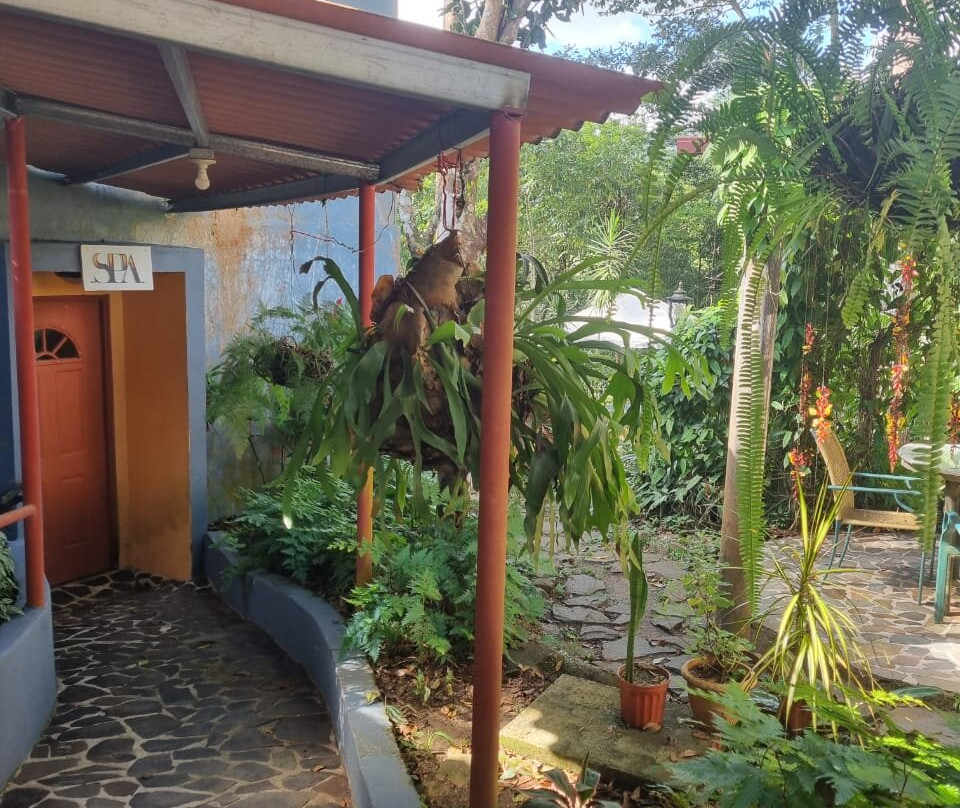 Villa Tavida Lodge & Spa主图