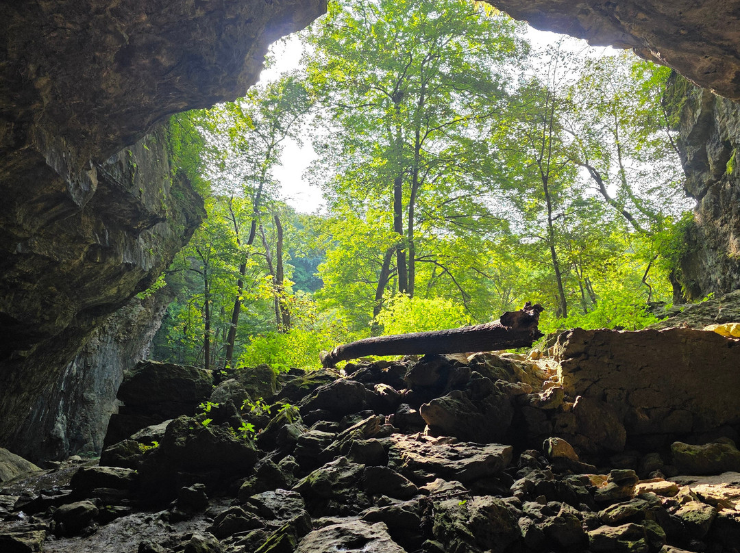 Maquoketa Caves State Park-Maquoketa必去景点