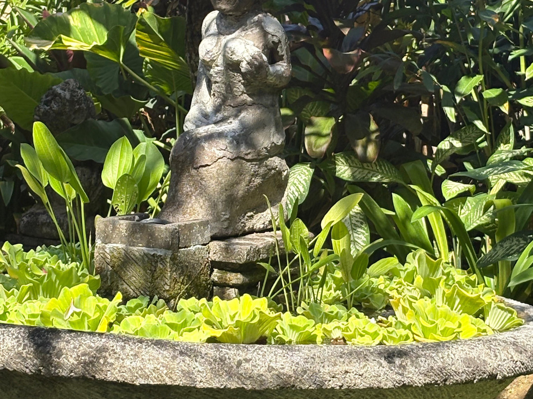Amrtasiddhi Ayurvedic Center-乌布必去景点