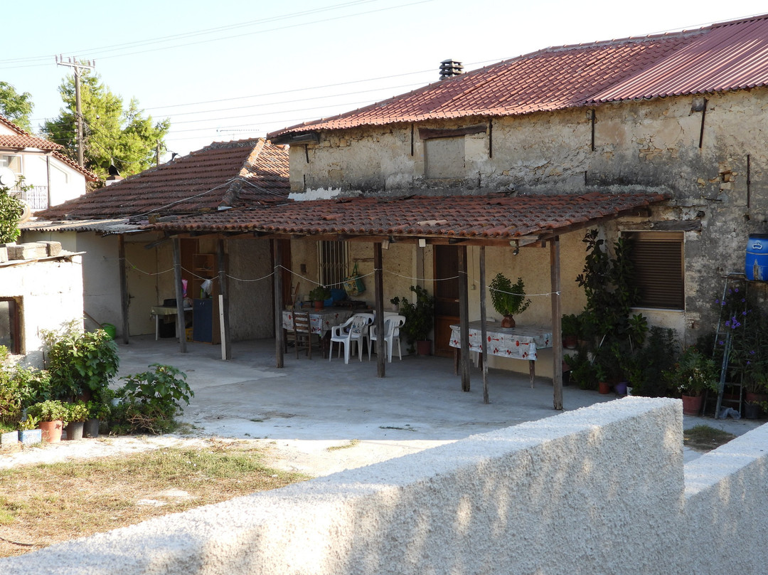Nefis Travel Zakynthos-提斯里菲必去景点
