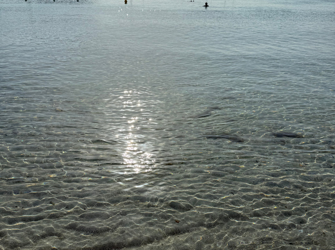 Porto Istana Beach-奥尔比亚必去景点