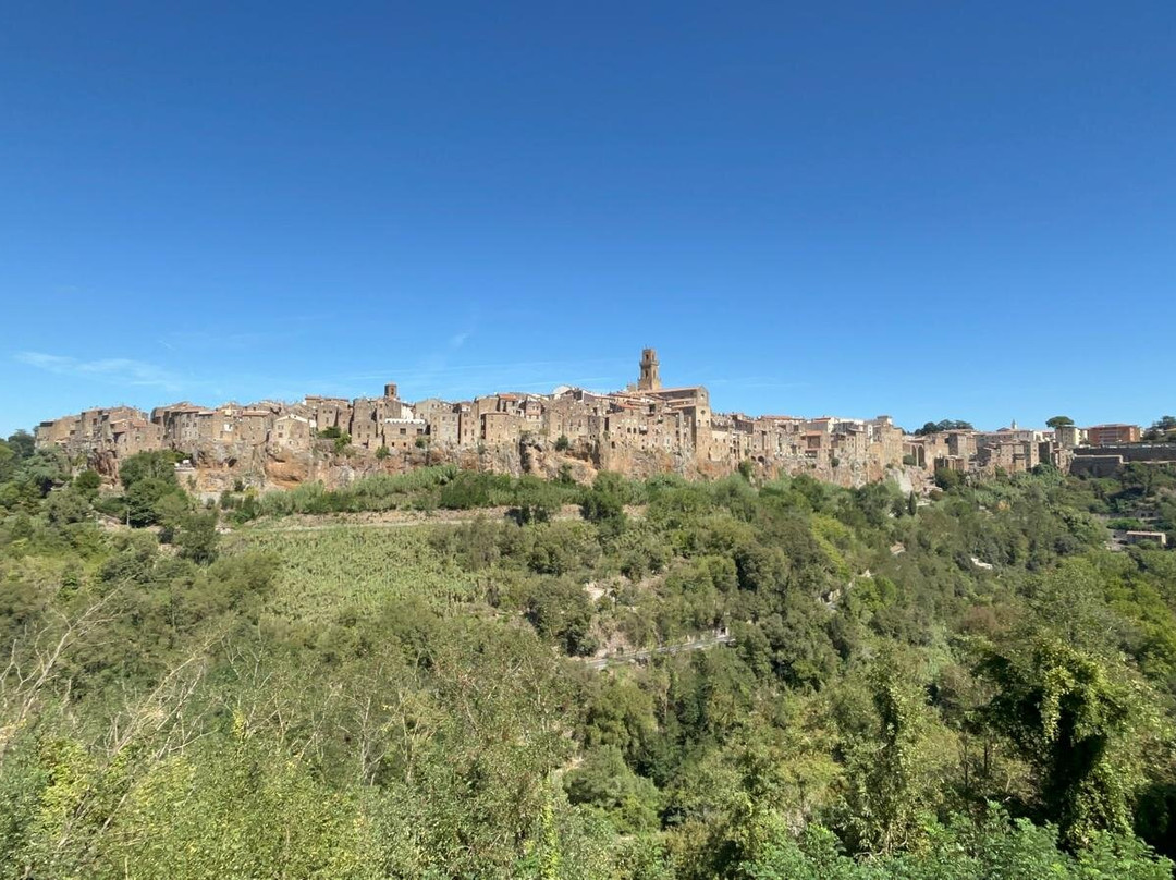 Agriturismo Lo Scalandrino 农家乐主图
