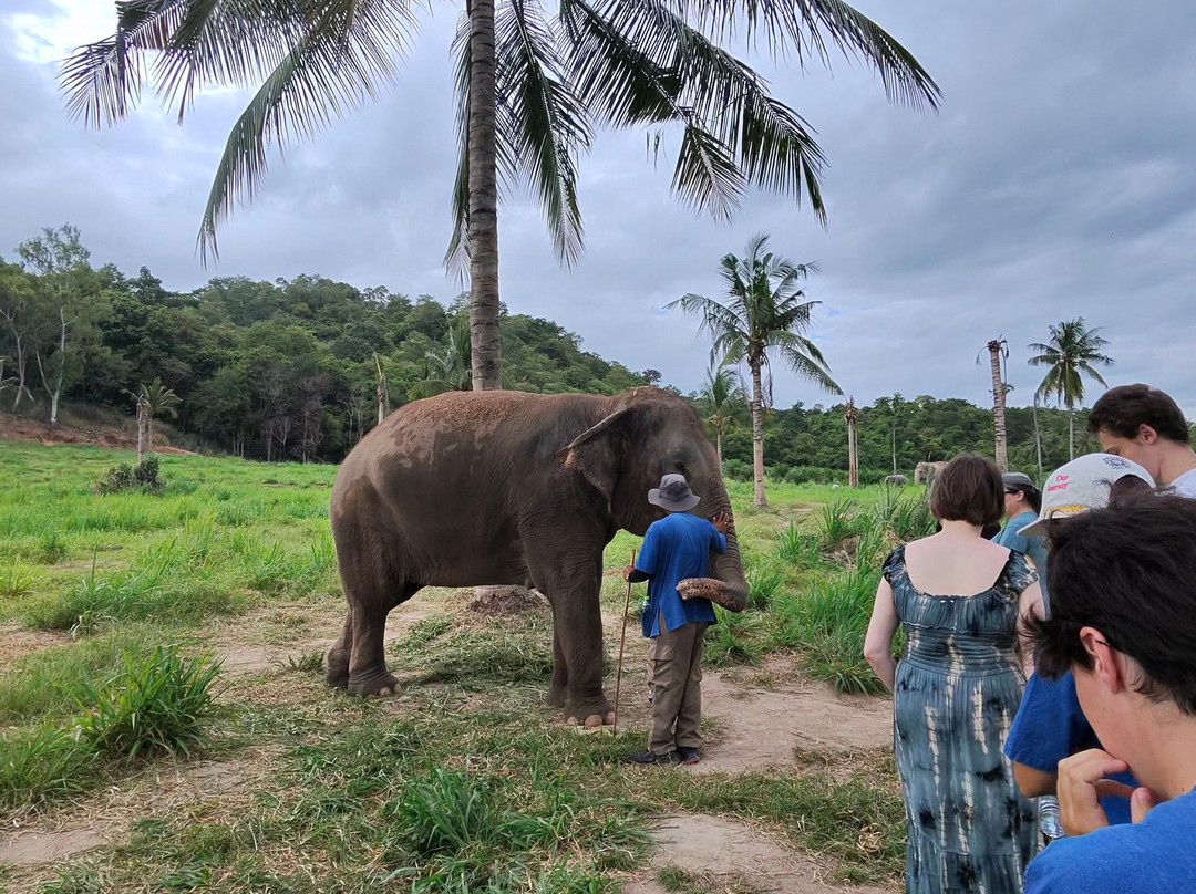 Pattaya Elephant Sanctuary-Bang Sare必去景点
