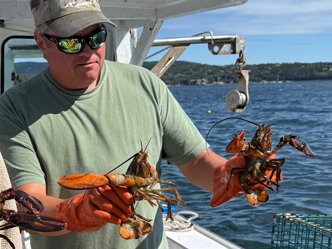 Acadia Lobster Cruise-Southwest Harbor必去景点