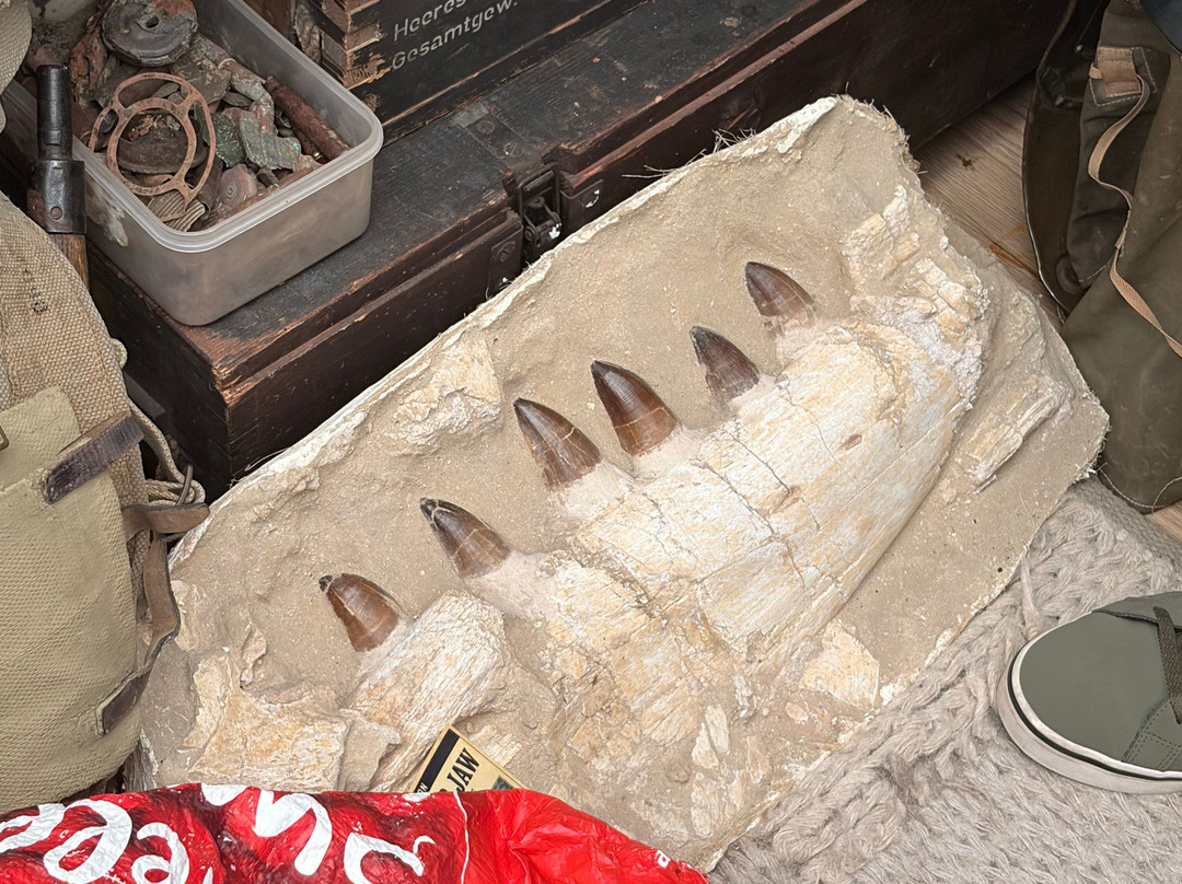 Grant WW2 Museum-纽尼顿必去景点