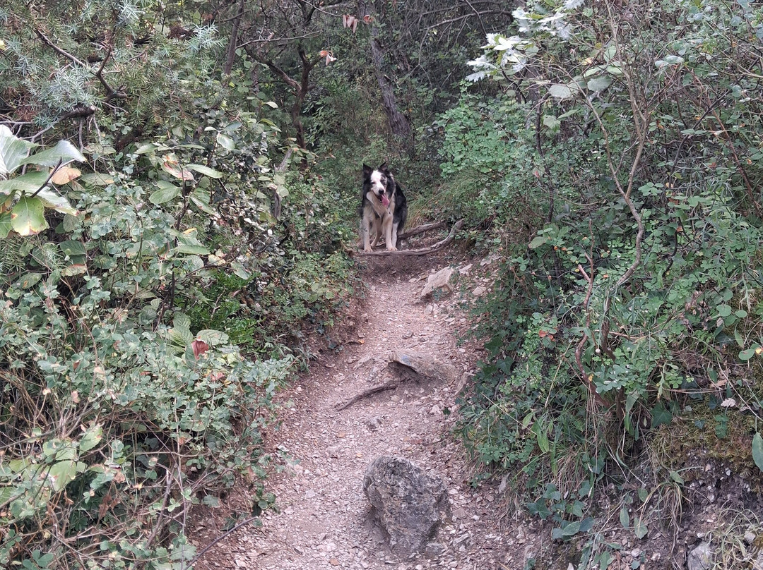 Dentelles De Montmirail-Gigondas必去景点