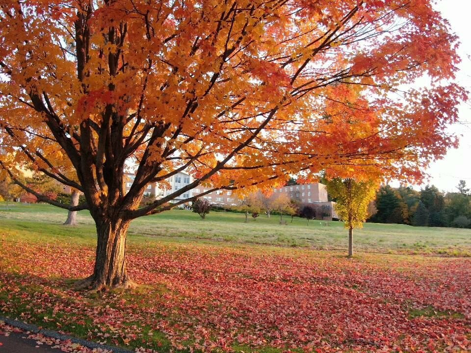 Kripalu Center for Yoga & Health-Stockbridge必去景点