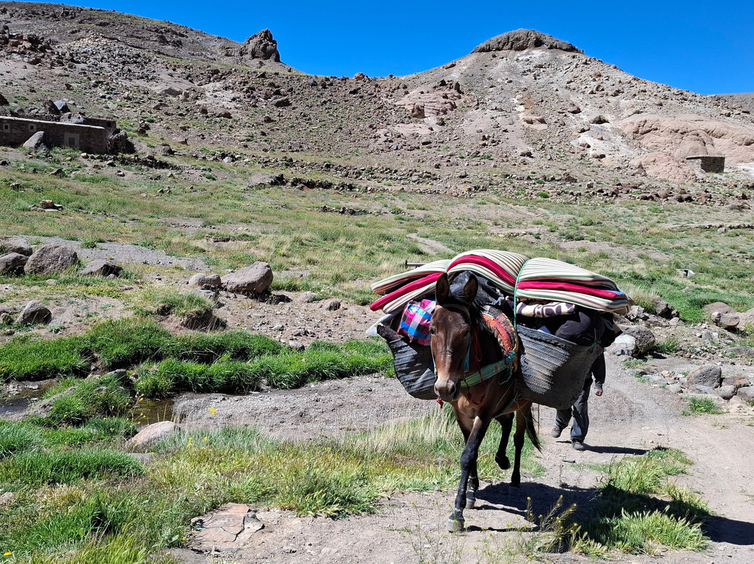 Jebel Trekking-马拉喀什必去景点