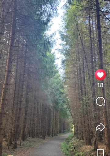 Woodlands Country House-旅行者