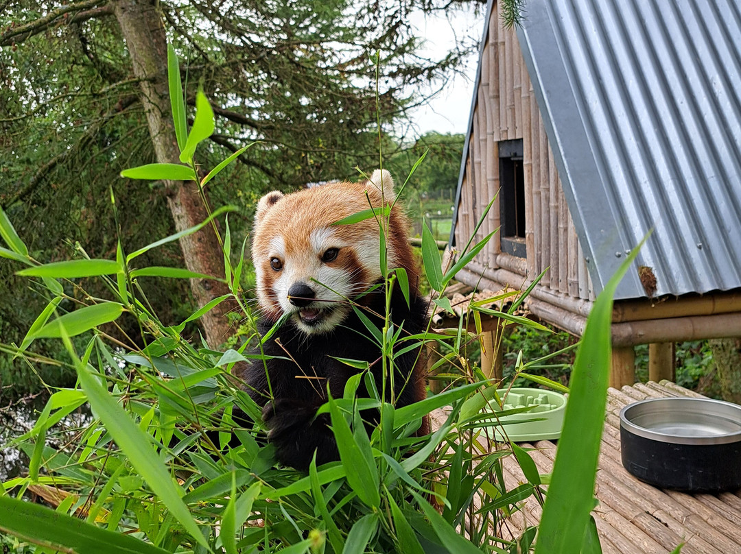 Peak Wildlife Park-Winkhill必去景点