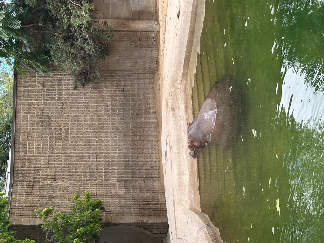 Denver Zoo-丹佛必去景点