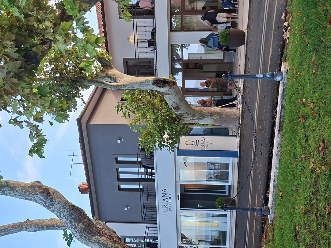 Loriana Park Hotel Sul Lago主图
