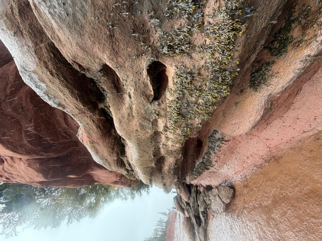 Burntcoat Head Park-Noel必去景点