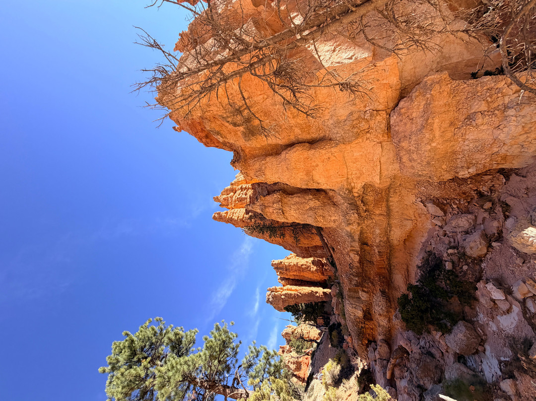 Canyon Trail Rides-特罗皮克必去景点