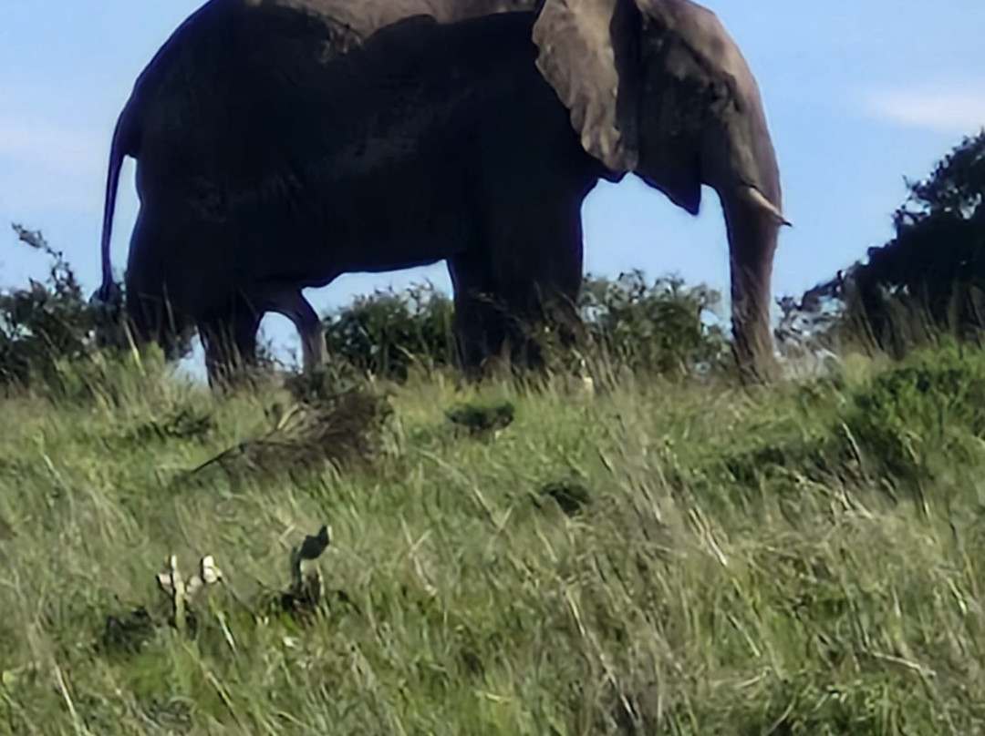 Lalibela Wildlife Reserve - Kichaka Lodge主图