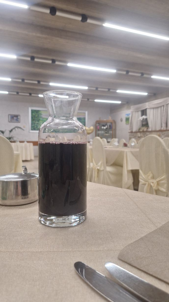 Albergo Ristorante Il Pescatore-旅行者