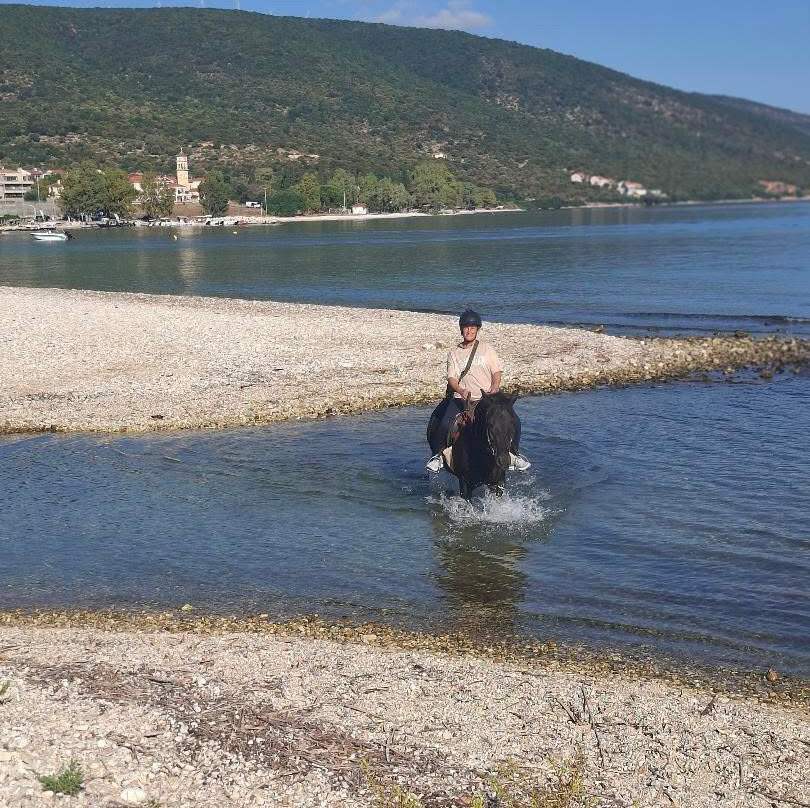 Kefalonia's Horse Riding Stable-萨米必去景点