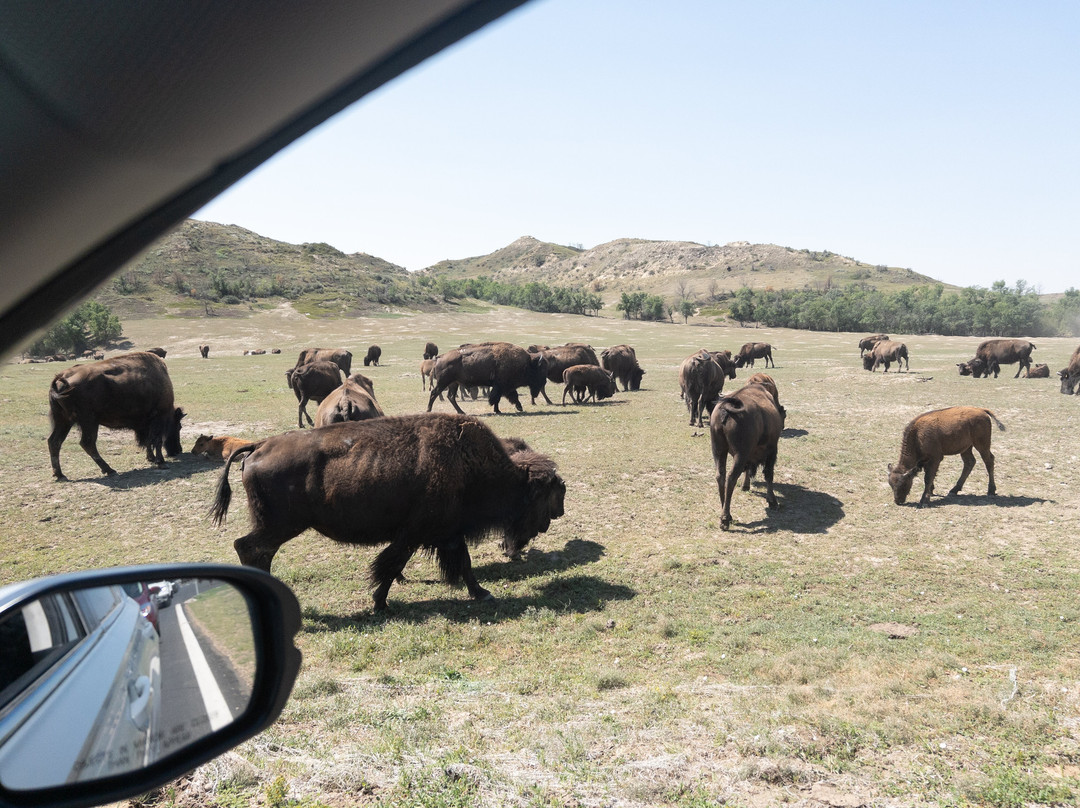 Theodore Roosevelt National Park-Medora必去景点