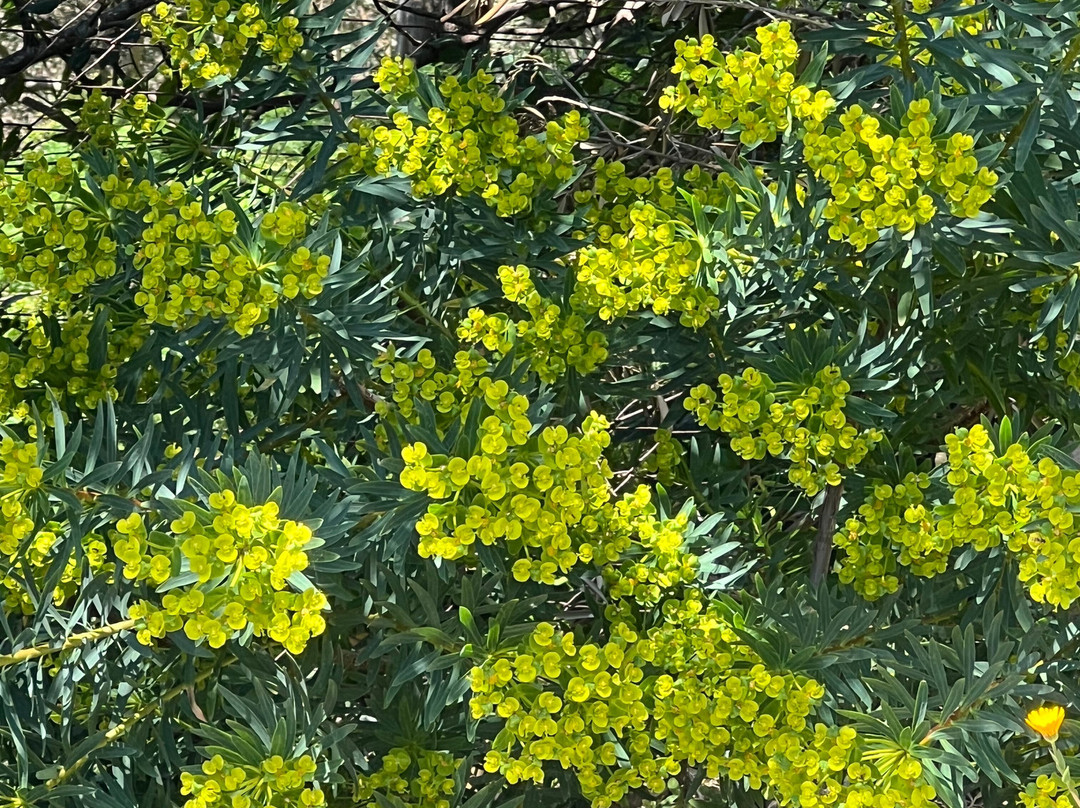 Azienda Agrituristica Fossa Papa-马萨卢布伦塞必去景点