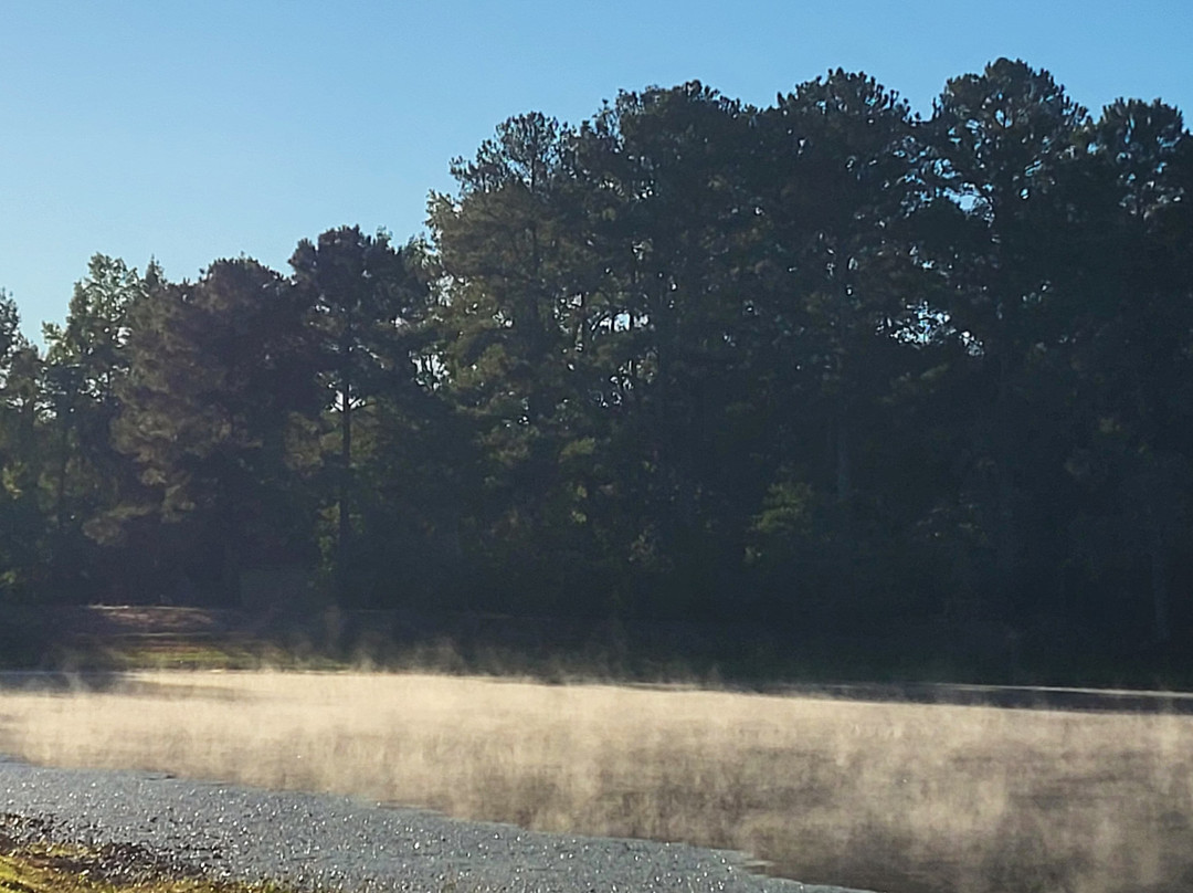 I-95 North Carolina Welcome Center-Rowland必去景点