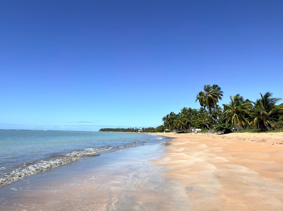 Praia de Japaratinga-Japaratinga必去景点