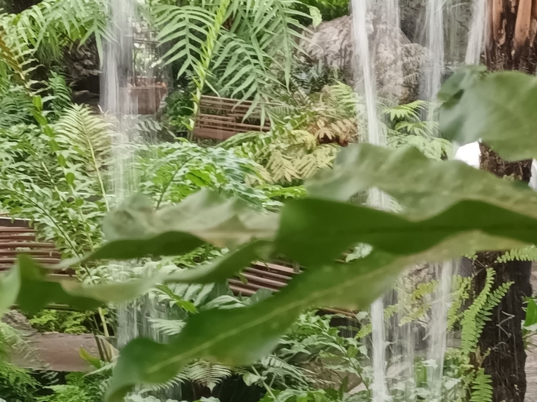 蒙特利尔植物园-蒙特利尔必去景点