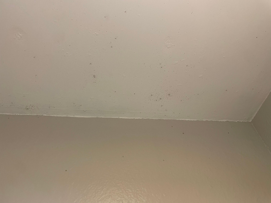 梅西科戴斯酒店主图