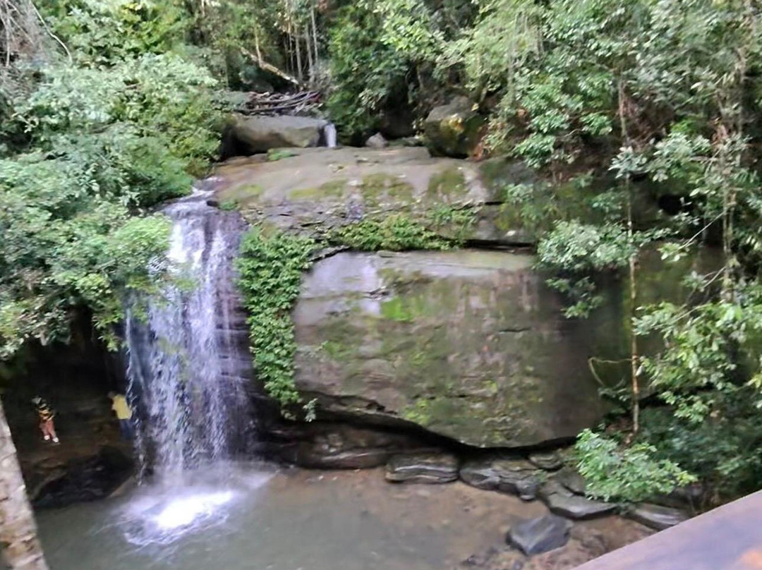Buderim Forest Park-Buderim必去景点