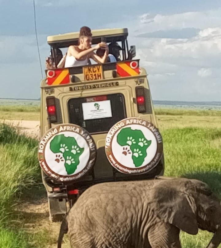 Roaming Africa Tours and Safaris - Day Tours-内罗毕必去景点