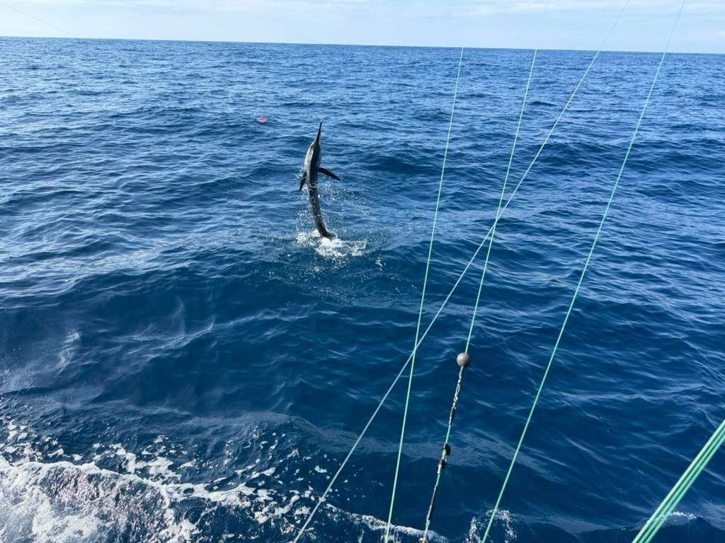 Big Tuna Sportfishing-Cabuya必去景点