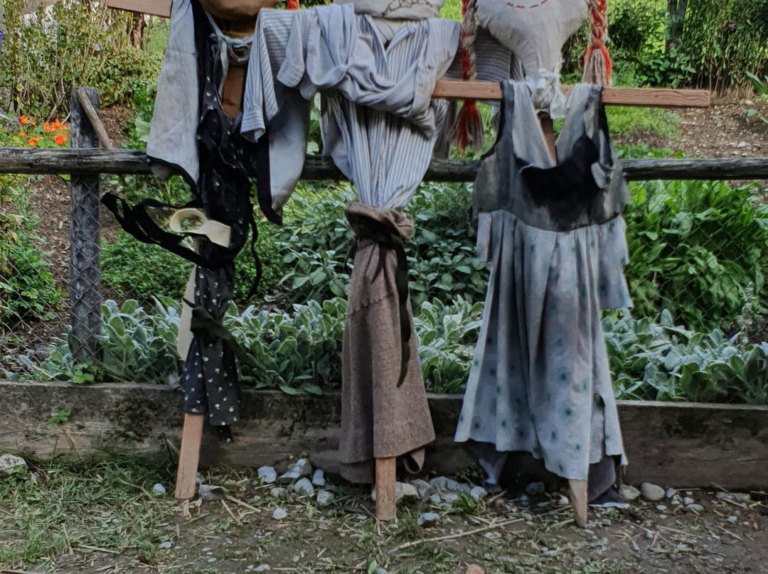 巴伦堡户外博物馆-Hofstetten bei Brienz必去景点