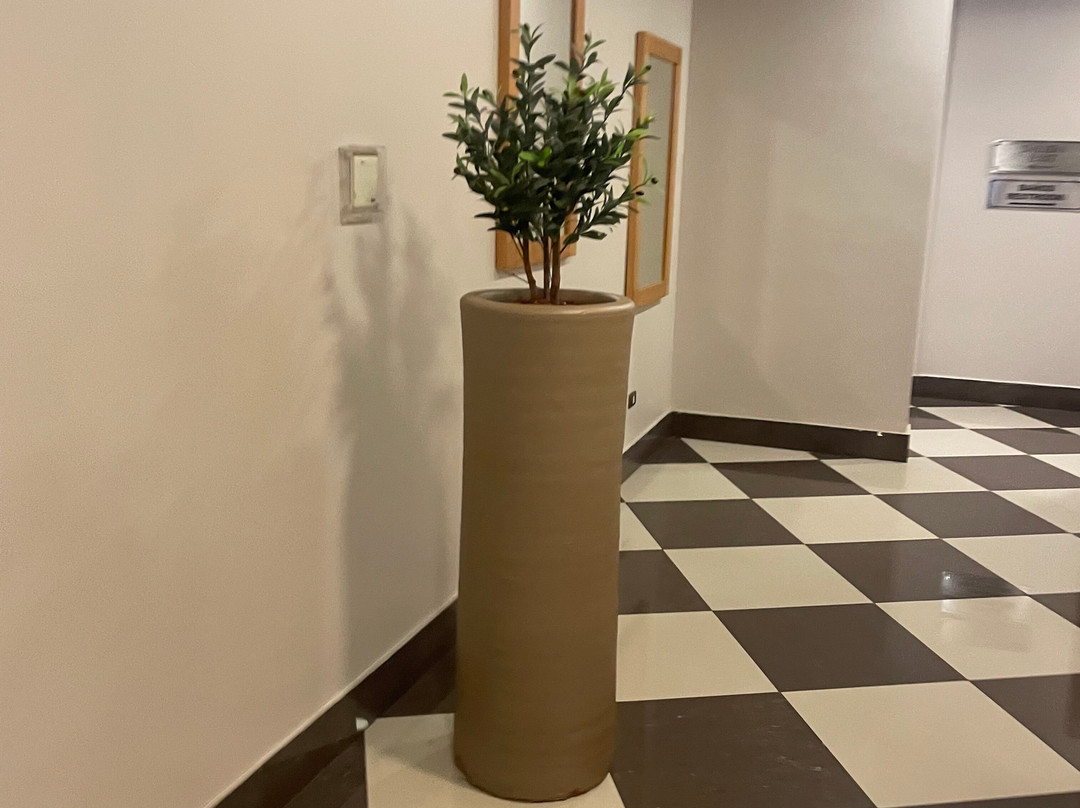 地亚哥德阿尔马格罗洛马斯尔德酒店主图