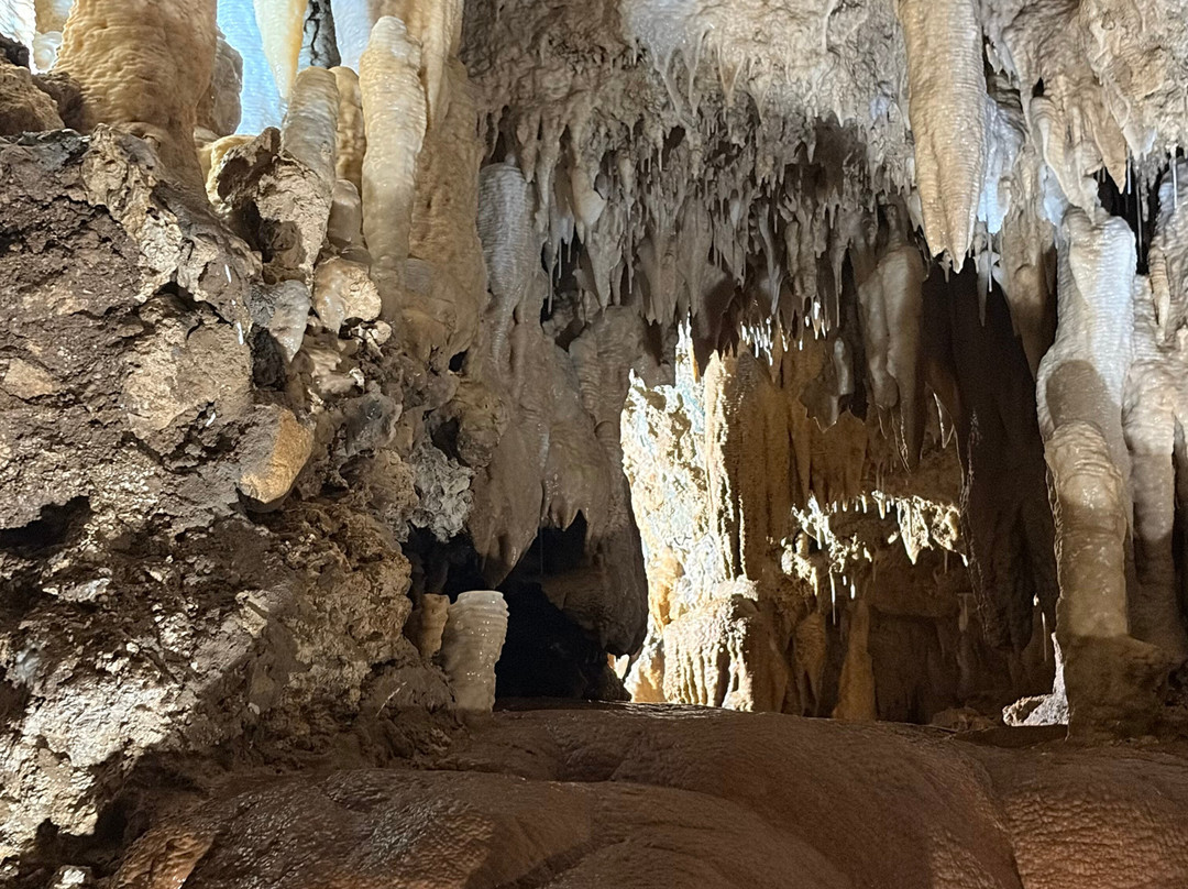 Harrison's Cave Eco-Adventure Park-Saint Thomas Parish必去景点