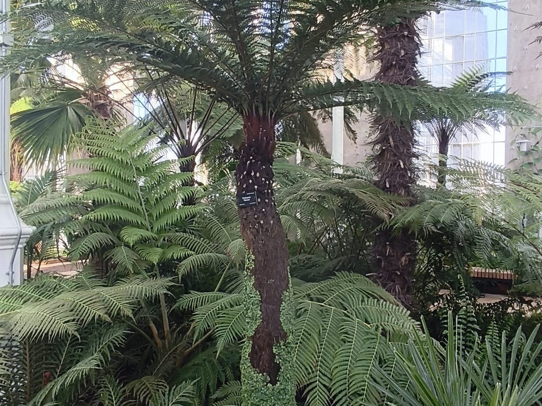 St Andrews Botanic Garden-圣安德鲁斯必去景点