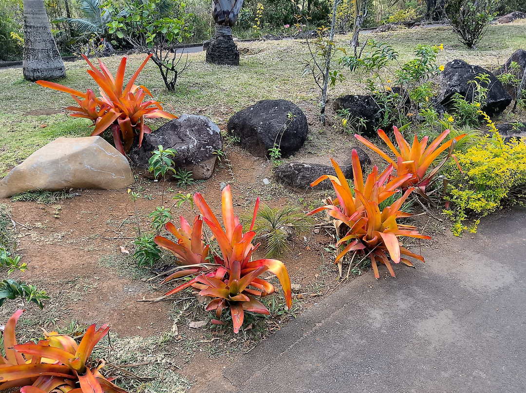 Calypso boat tours Mauritius-蓝湾必去景点