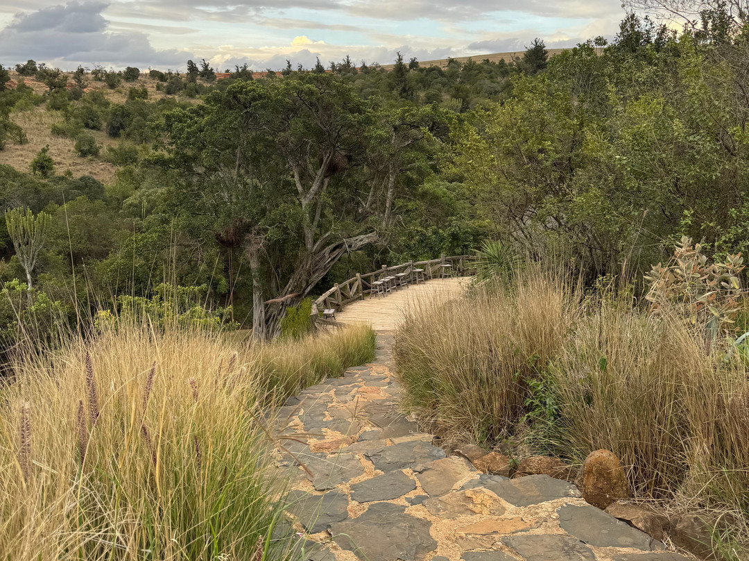 Olepangi Farm主图