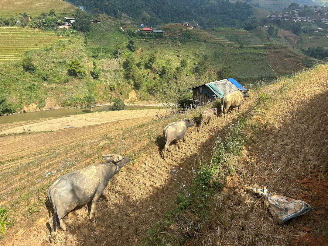 Hmong Immersive Tour-Mu Cang Chai必去景点