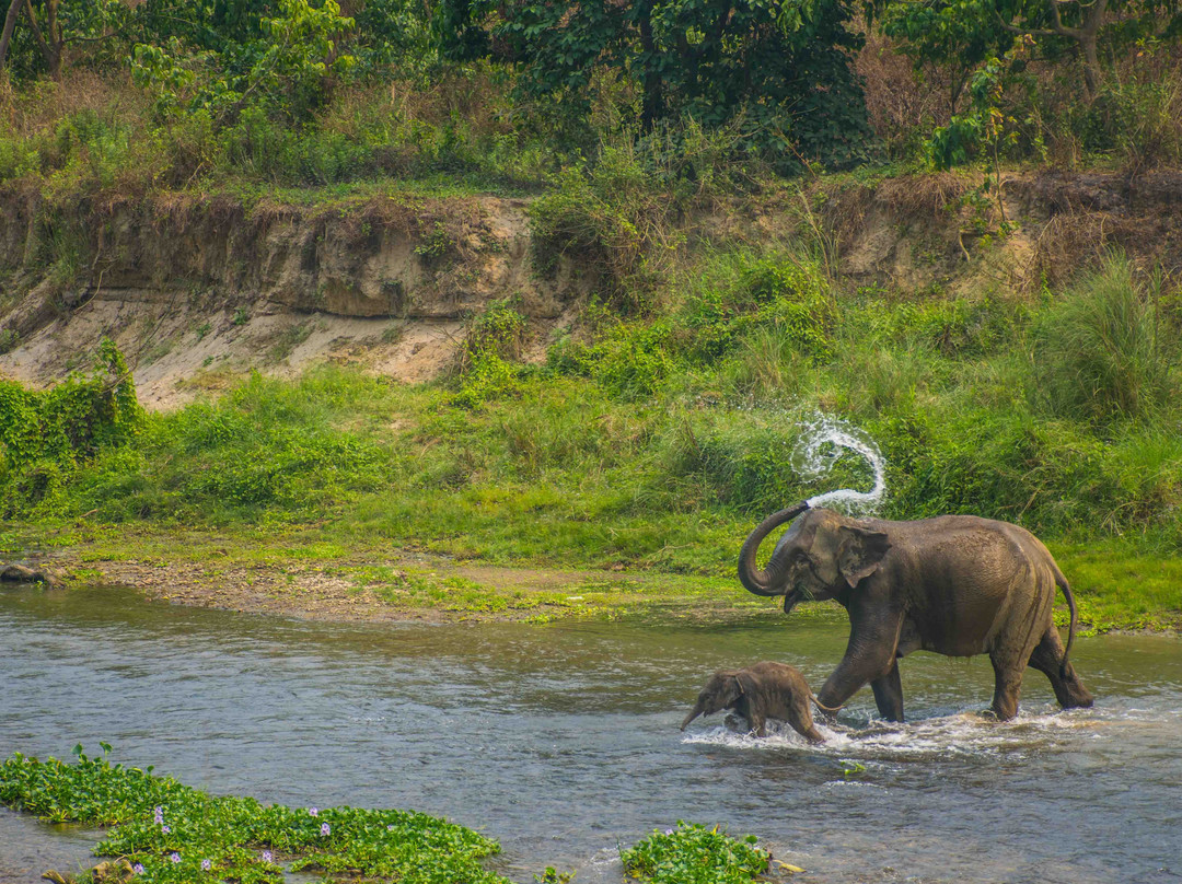 Chitwan National Park-苏拉哈必去景点