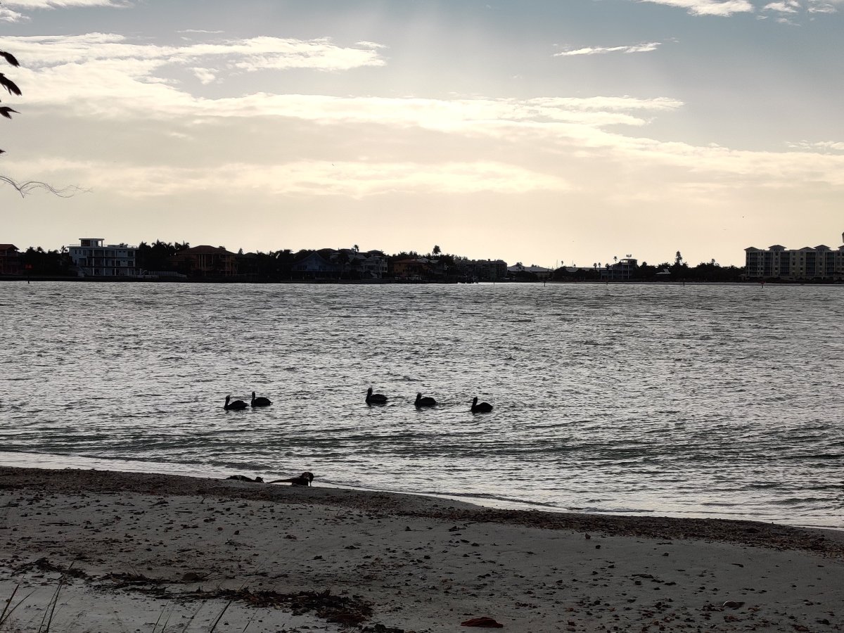Island's End Resort-官方