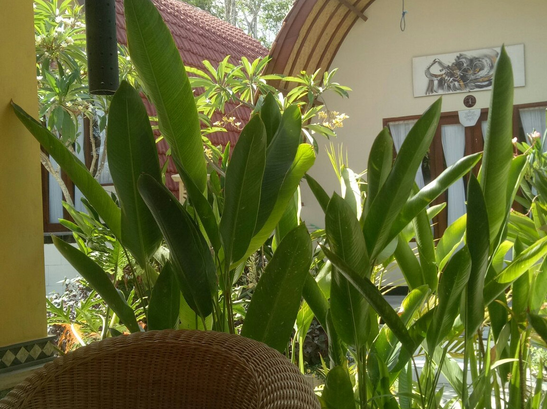 珀尼达岛酒店住宿-Ratu Cottage By OurStory Travels