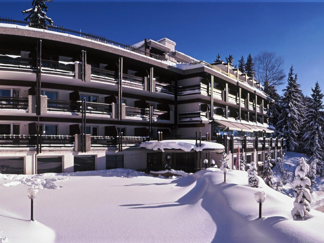 Hotel de la Foret