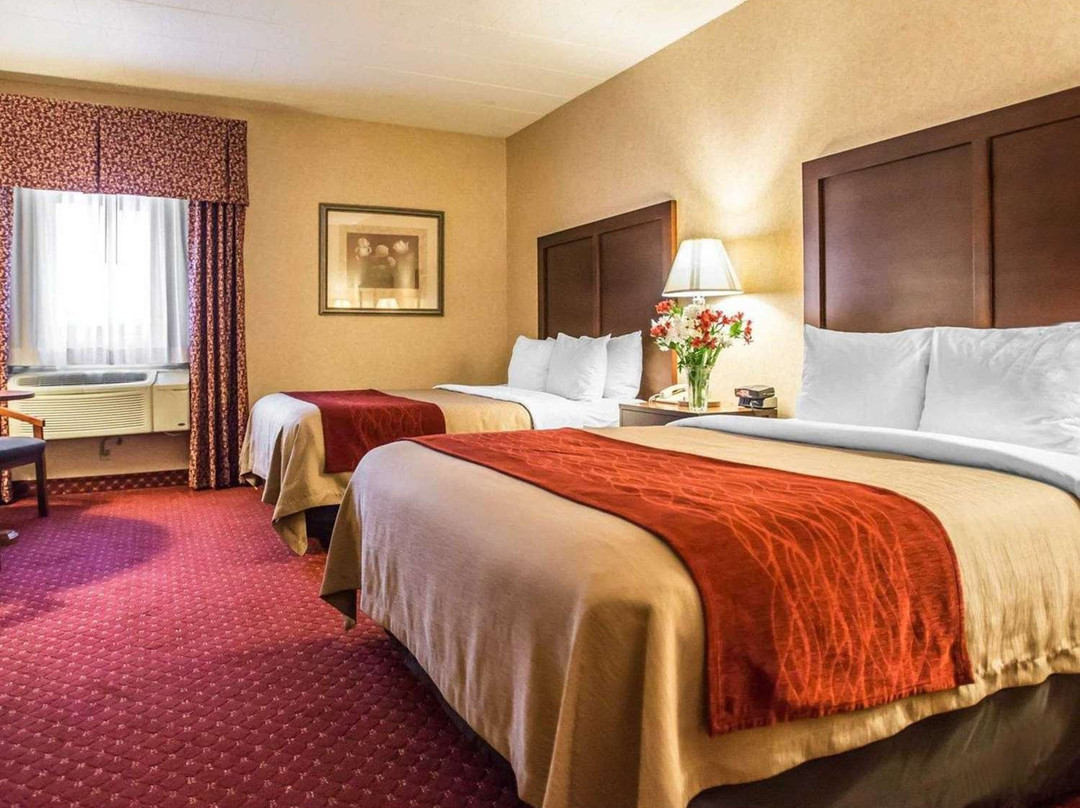 Comfort Inn Pocono Lakes Region主图