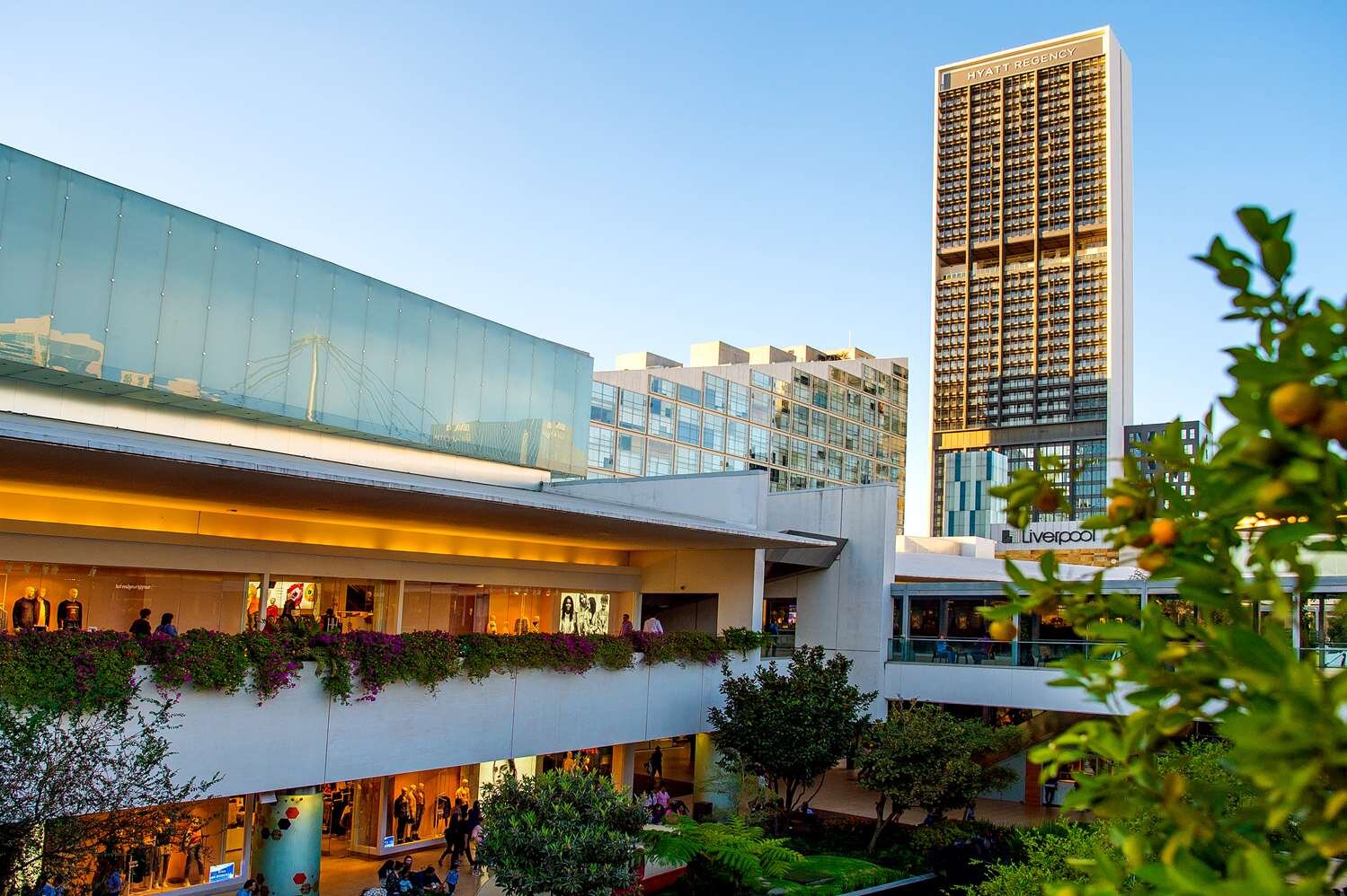 Hyatt Regency Andares Guadalajara-官方