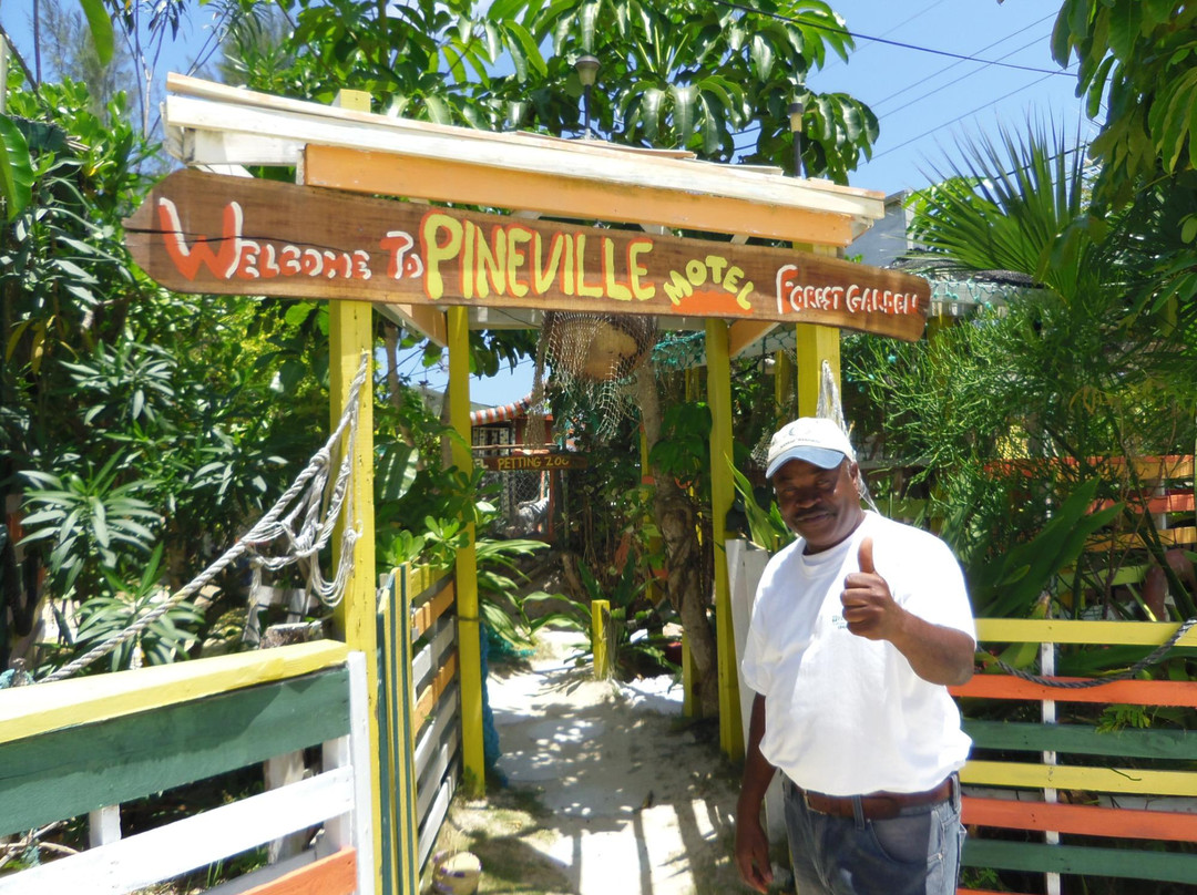 Andros酒店住宿-Pineville Motel