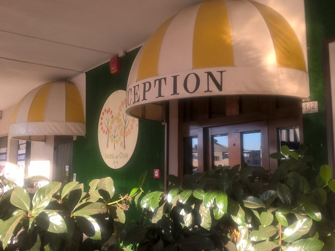 阿格丽奥尔米酒店
