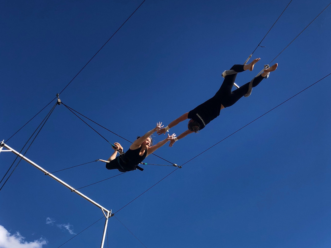 Listo Trapeze Co