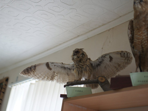 Elton旅游景点-Nature Park Eltonskiy