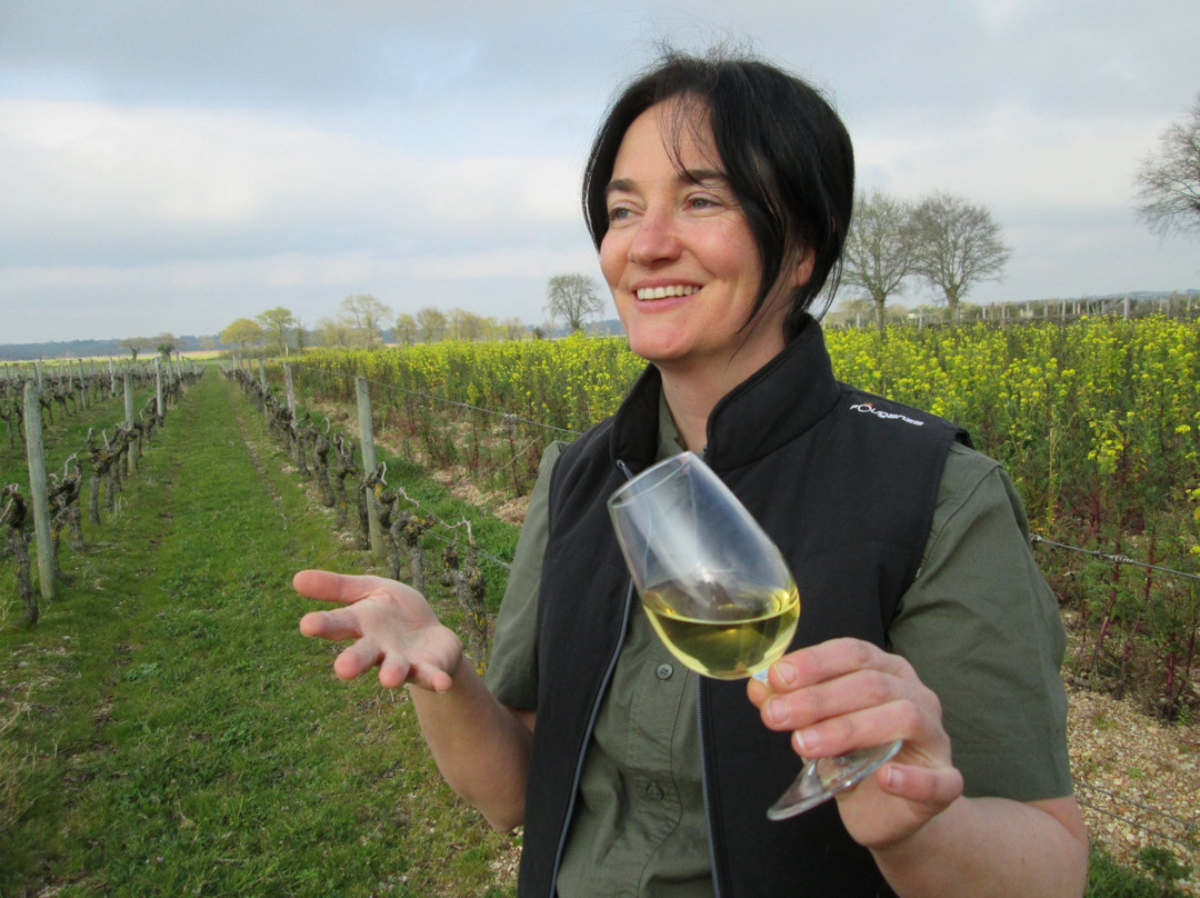 Les Vignes Selon Val景点图片