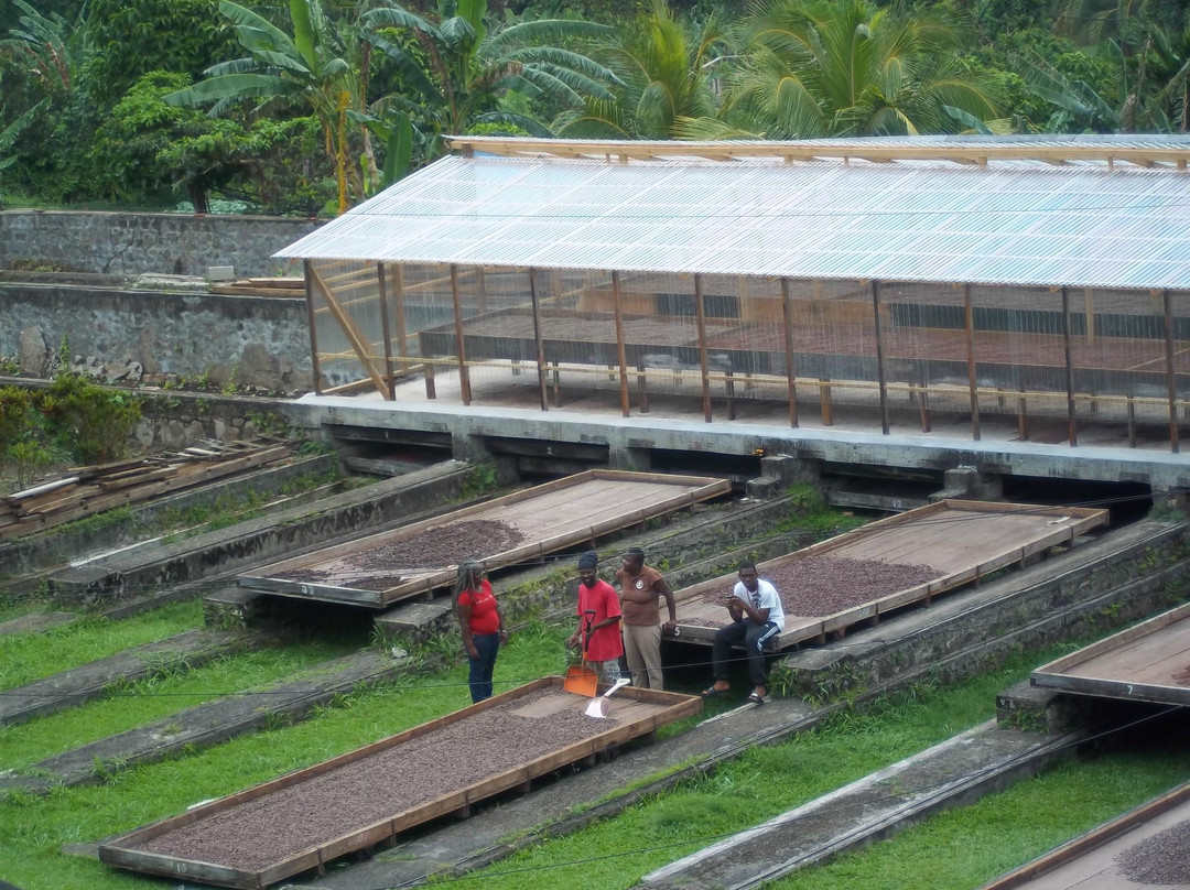 Belmont Estate Grenada-Belmont必去景点